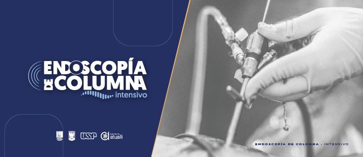 Endoscopia da Coluna